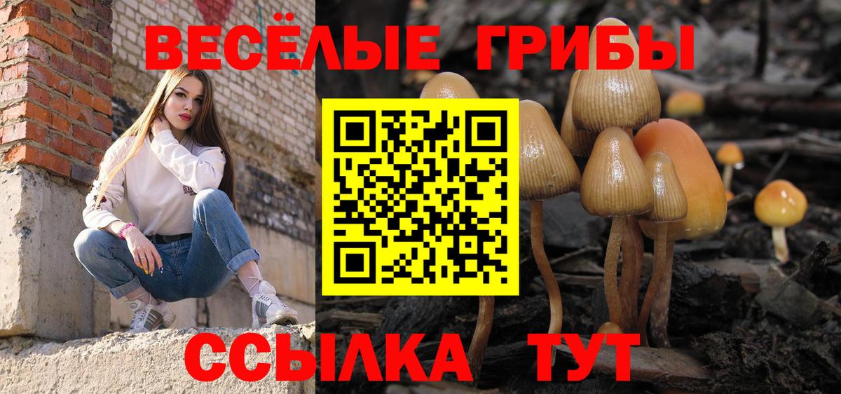 Псилоцибиновые грибы GOLDEN TEACHER  Вход с VPN  Ликино-Дулёво 