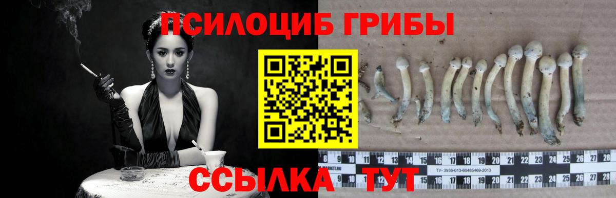 Псилоцибиновые грибы прущие грибы Ликино-Дулёво